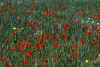 02-04-03.JPG (111605 Byte)